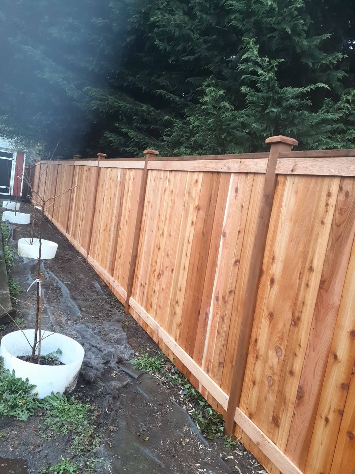 New cedar privacy fence, side yard