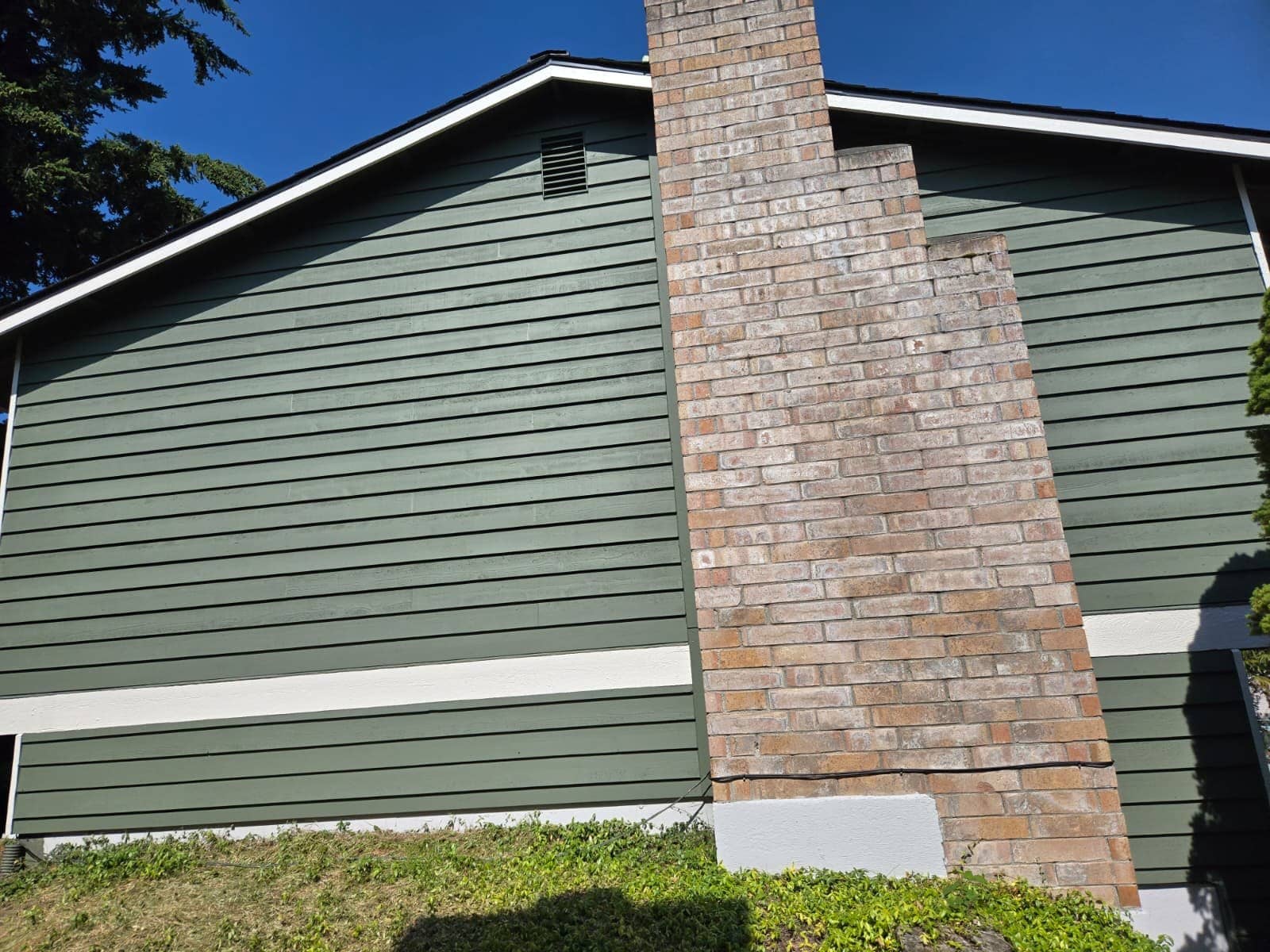 Green lap siding with chimney